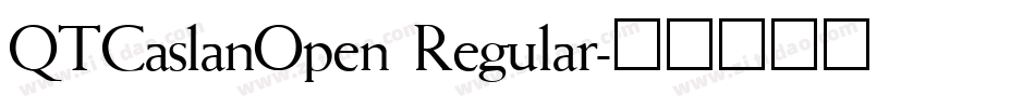 QTCaslanOpen Regular字体转换
